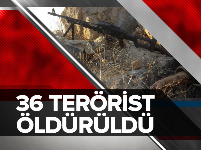Şırnak ve Hakkâri’de 36 terörist öldürüldü.