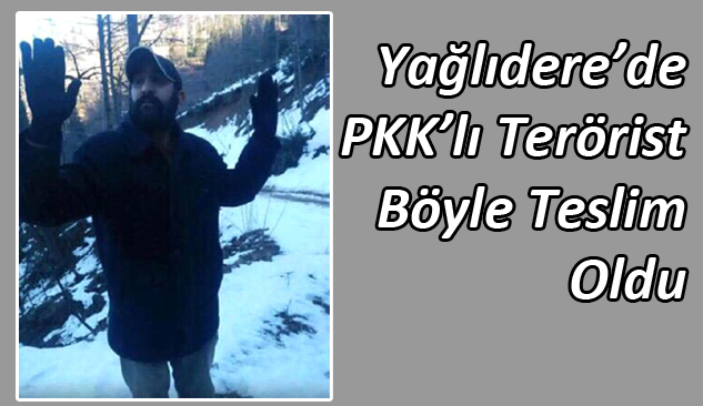Giresun’da PKK’lı Terörist Teslim Oldu