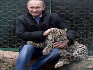 Putin’in doğaya salınan leoparı ölü bulundu