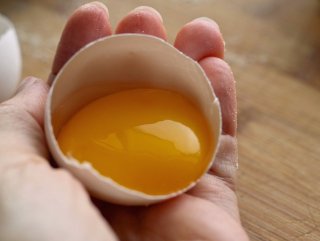 Yumurta ve karnitin kullanımına dikkat