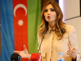 Azerbaycan Zeytin Dalı Harekatı’nı destekliyor