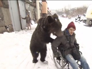 Rusya’da engelli genç ile ayının muhteşem dostluğu