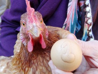 Üzerinde ’1’ yazan yumurta bin liradan satışa çıkarıldı