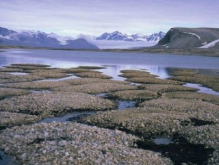 Kuzey Kutbu’ndaki karbon salınımı dünyayı tehdit ediyor