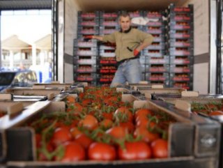 Rusya’dan 2 şirkete daha domates ithalatı izni