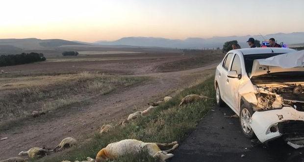 Otomobil koyun sürüsüne daldı; 20 koyun öldü