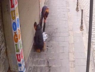 Gaziantep’te bir iş yerinde yapılan hırsızlık anı kamerada