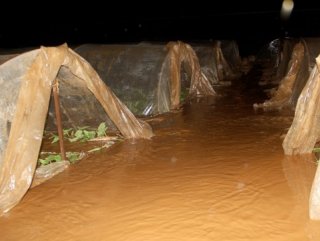 Sağanak yağış Muğla’da seraları olumsuz etkiledi
