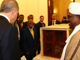 Erdoğan’a hediye edilen aslanlar yuvalarına kavuştu