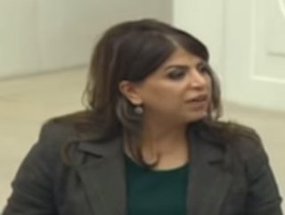 HDP’li Sibel Yiğitalp Meclis’te PKK’lıları andı