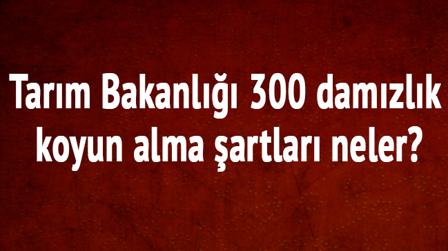 2018 yılı Tarım Bakanlığı 300 damızlık koyun alma başvuru şartları koşulları neler?