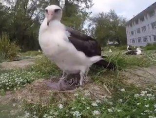67 yaşında anne olan albatros