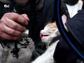 Yangından etkilenen kedi kalp masajıyla hayata döndü