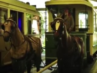 &rsquo;Dingo&rsquo;nun ahırı deyimi&rsquo; nereden geliyor