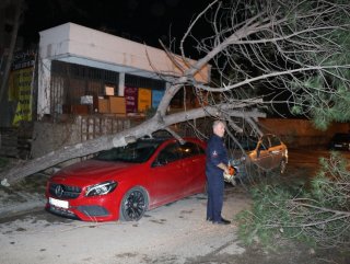 Ataşehir’de kökü çürüyen ağaç bir aracın üstüne devrildi