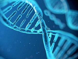 Kanser tedavisinde DNA nanorobot dönemi