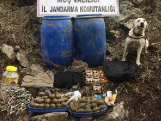 Muş’ta PKK’nın 90 el bombası ele geçirildi