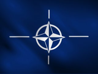 Operation Olive Branch disturbs NATO