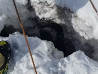 Türk dağcılar buzul çukuruna düşen köpeği kurtardı