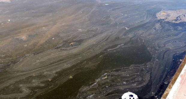 İzmit Körfezi&rsquo;nde gemiden bırakılan atıkla sahil kirlendi