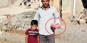 Sivas&rsquo;ta ilk kez &rsquo;geyik böceği&rsquo; bulundu