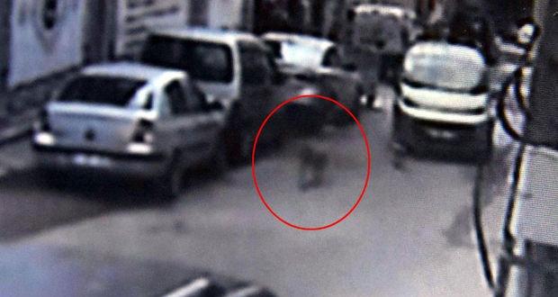 Polis gibi iz sürdü, 250 dakikalık kamera görüntüleri ortaya çıktı