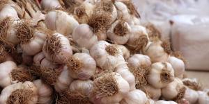 &rsquo;Düşük rekolte, yüksek fiyat&rsquo;