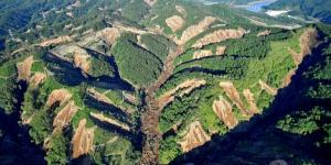 japonya’dan dehşet görüntüler