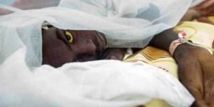 Nijerya’da sarı humma salgınında 115 kişi öldü .