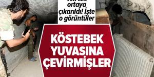 PKK/YPG’li teröristler Tel Abyad’ı köstebek yuvasına çevirmiş