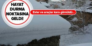 Hayat durma noktasına geldi! Evler ve araçlar kara gömüldü…