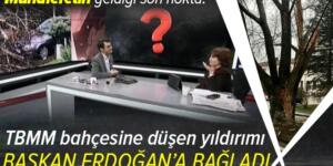 Halk TV sunucusu Ayşenur Arslan TBMM’nin bahçesine düşen yıldırımı Başkan Erdoğan’a bağladı